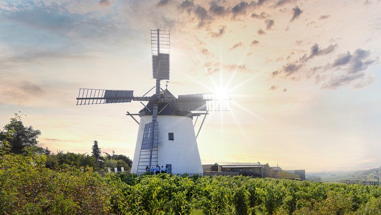 Retzer Windmühle, © Romana Fürnkranz