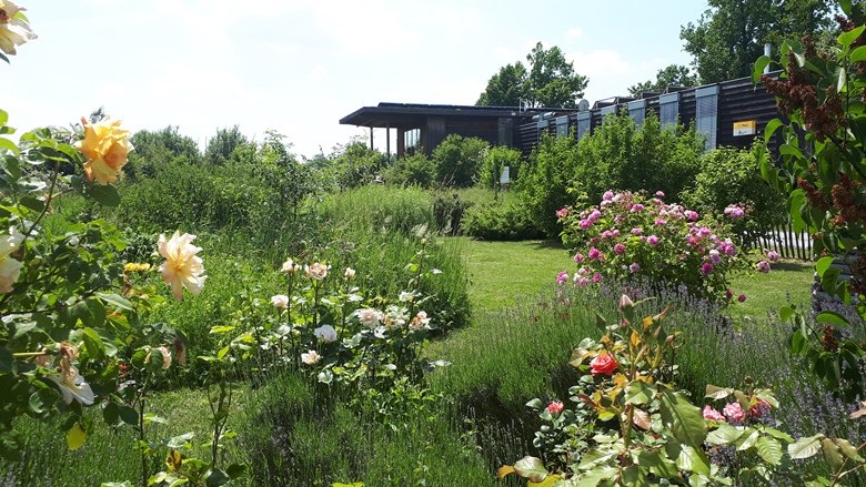 Kräutergarten Nationalpark Thayatal, © "Natur im Garten" Schaugärten